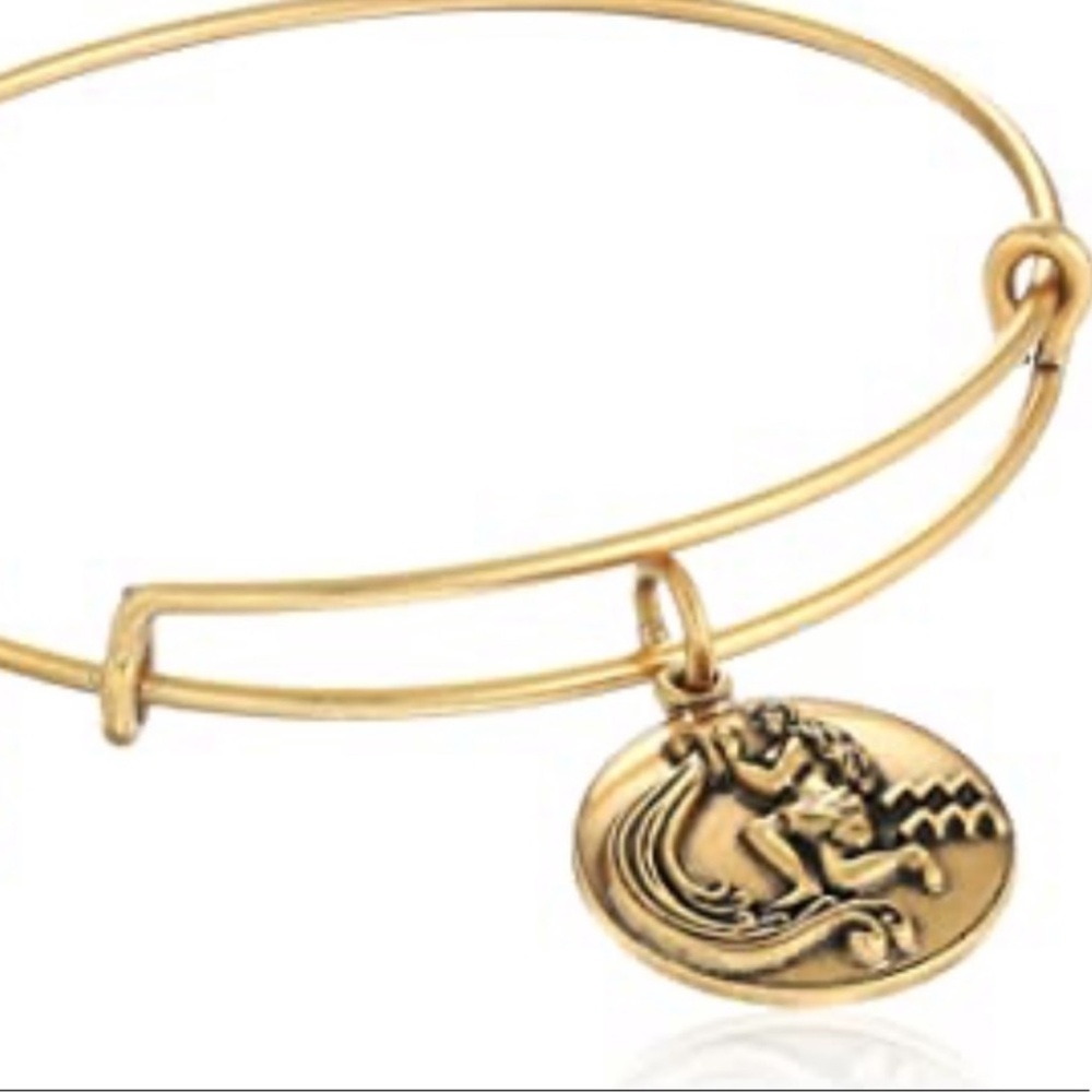 Alex and Ani Gold Aquarius Charm Bracelet